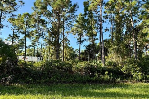 Land in Punta Gorda, Florida № 2164421 - photo 2