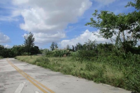 Commercial property in Miami, Florida № 1950316 - photo 8