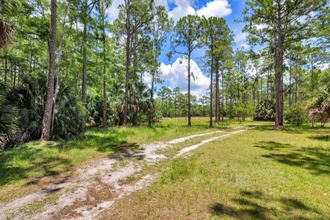 Коммерческая недвижимость в Уэст-Палм-Бич, Флорида № 2261984