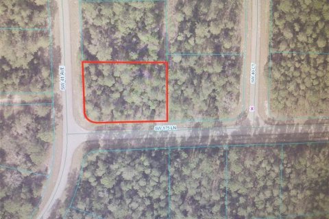 Land in Ocala, Florida № 1854102 - photo 2