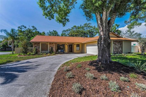 House in Palm Harbor, Florida 3 bedrooms, 135.54 sq.m. № 1773717 - photo 2