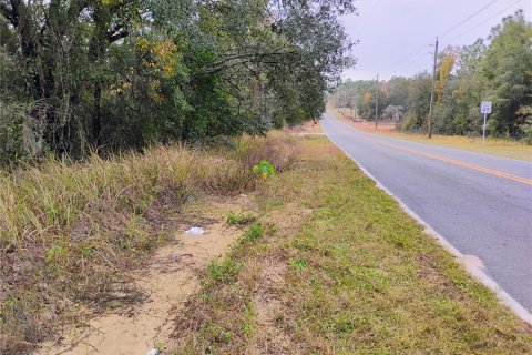 Terreno en venta en Interlachen, Florida № 1905840 - foto 6