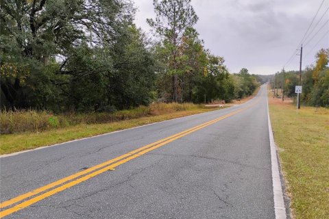 Terreno en venta en Interlachen, Florida № 1905840 - foto 4