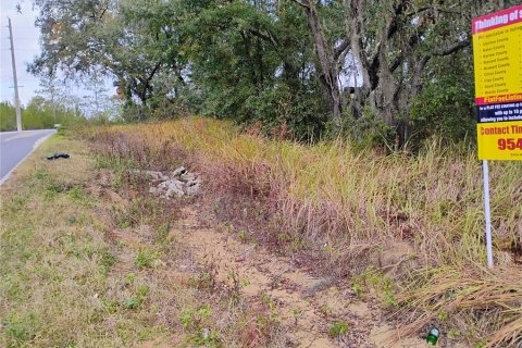 Terreno en venta en Interlachen, Florida № 1905840 - foto 5