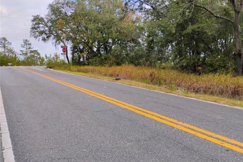 Terreno en venta en Interlachen, Florida № 1905840 - foto 3