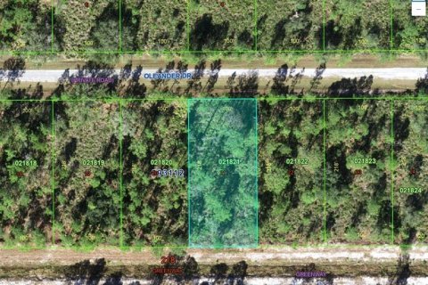 Land in Indian lake estates, Florida № 2165847 - photo 2