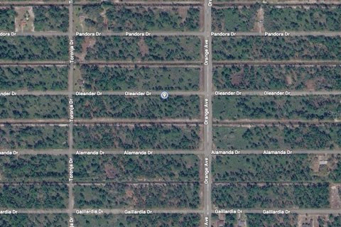 Land in Indian lake estates, Florida № 2165847 - photo 16
