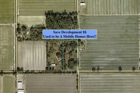 Terreno en venta en Hastings, Florida № 855736 - foto 1