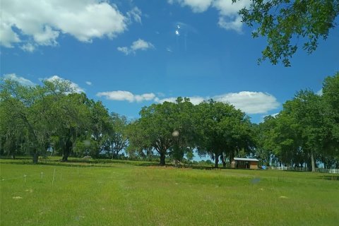 Land in Morriston, Florida № 2116283