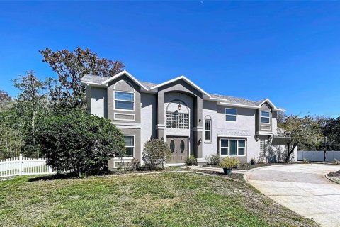 House in New Port Richey, Florida 5 bedrooms, 305.93 sq.m. № 2147520