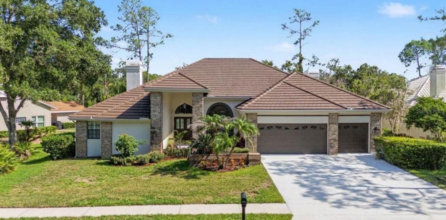Villa ou maison à Oldsmar, Floride 4 chambres, 287.81 m2 № 2344571
