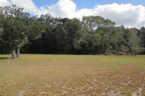 Terrain à vendre à Mount Dora, Floride № 1150457 - photo 5