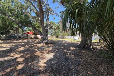 Land in Tampa, Florida № 1678503 - photo 2