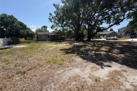 Land in Tampa, Florida № 1678503 - photo 3