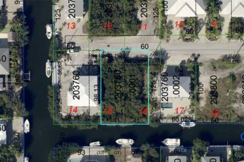 Land in Big Pine Key, Florida № 2182136 - photo 2