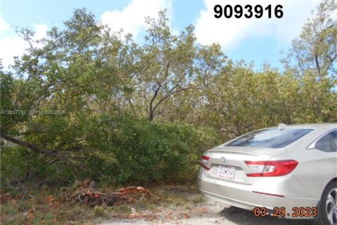 Land in Big Pine Key, Florida № 2182136