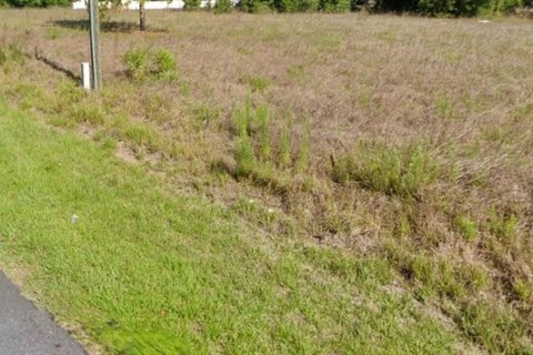 Terreno en venta en Dunnellon, Florida № 2224190 - foto 2