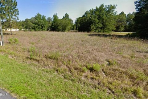 Terreno en Dunnellon, Florida № 2224190