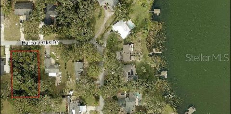 Terrain à Montverde, Floride № 1107394