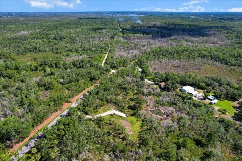 Terreno en venta en Crystal River, Florida № 1800243 - foto 11