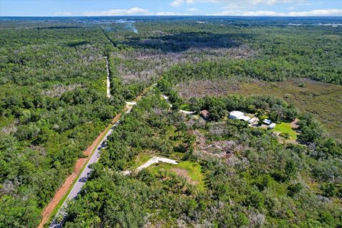 Terreno en venta en Crystal River, Florida № 1800243 - foto 10