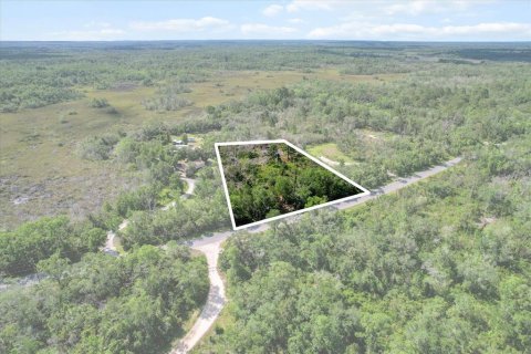 Terreno en venta en Crystal River, Florida № 1800243 - foto 1