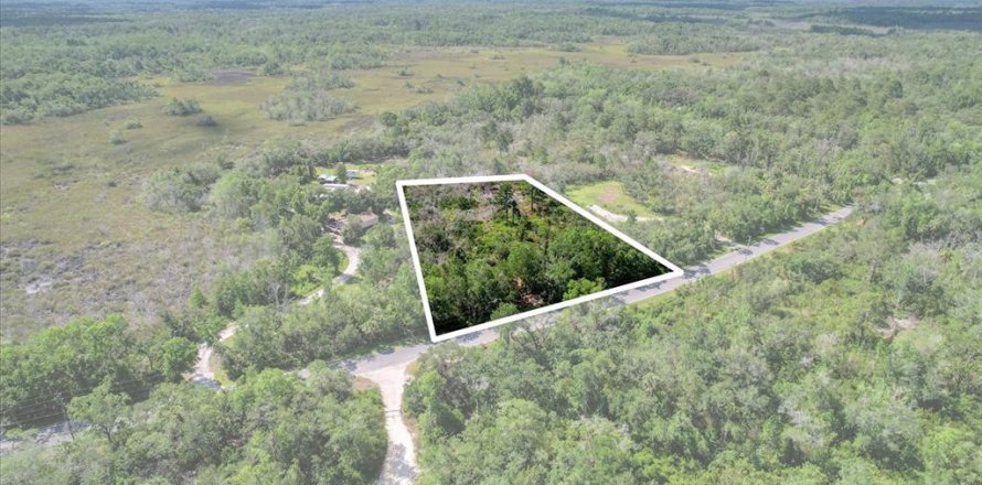 Terreno en Crystal River, Florida № 1800243