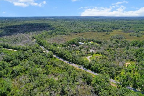 Terreno en venta en Crystal River, Florida № 1800243 - foto 7