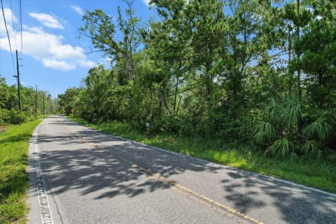 Terreno en venta en Crystal River, Florida № 1800243 - foto 5