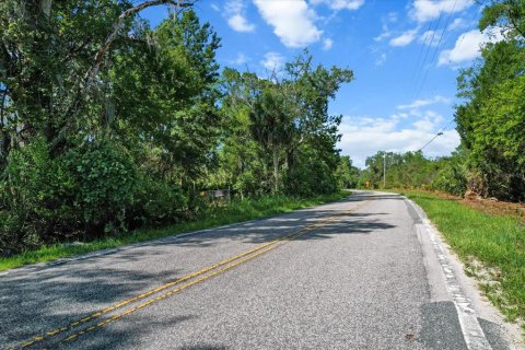 Terreno en venta en Crystal River, Florida № 1800243 - foto 2