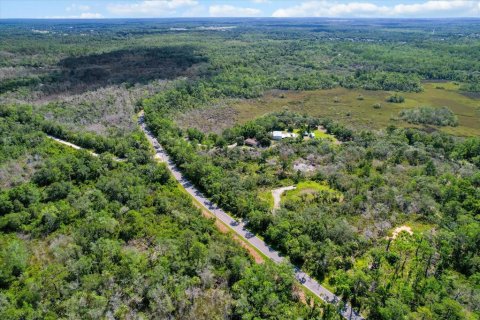 Terreno en venta en Crystal River, Florida № 1800243 - foto 8