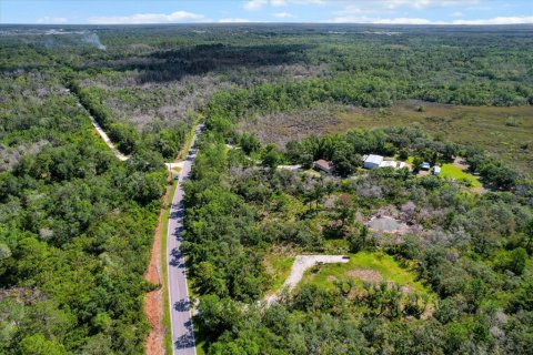 Terreno en venta en Crystal River, Florida № 1800243 - foto 9