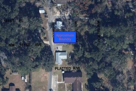 Land in Alachua, Florida № 2161996 - photo 3