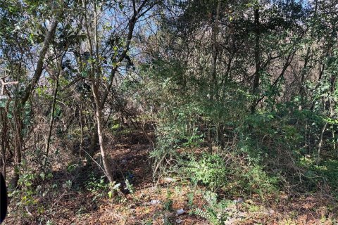 Land in Alachua, Florida № 2161996
