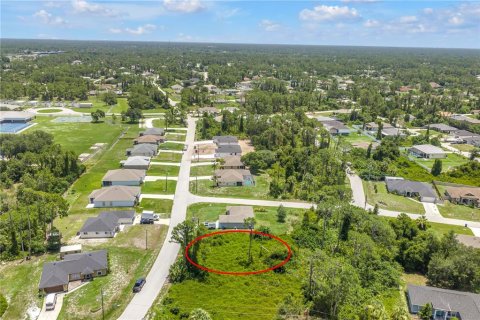 Land in North Port, Florida № 2224691 - photo 9