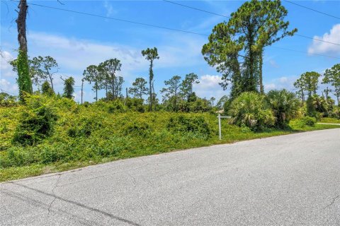 Land in North Port, Florida № 2224691 - photo 15