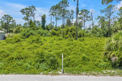 Land in North Port, Florida № 2224691 - photo 17
