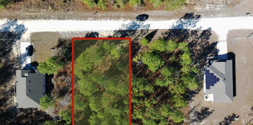 Terrain à Brooksville, Floride № 2165787