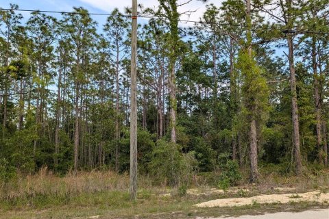 Terrain à vendre à Brooksville, Floride № 2165787 - photo 8