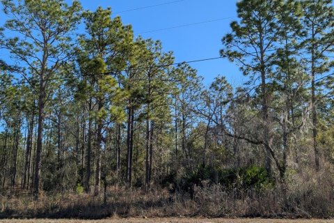 Terrain à vendre à Brooksville, Floride № 2165787 - photo 4