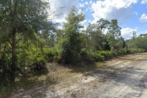 Terrain à vendre à Indian lake estates, Floride № 2205743 - photo 3