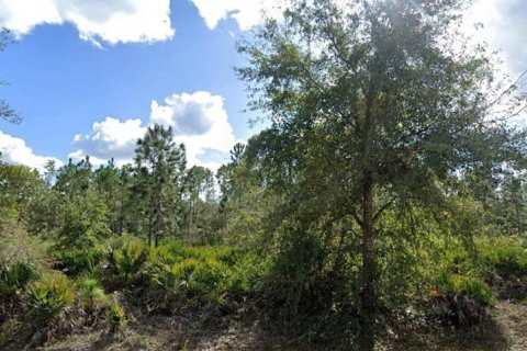 Terrain à Indian lake estates, Floride № 2205743