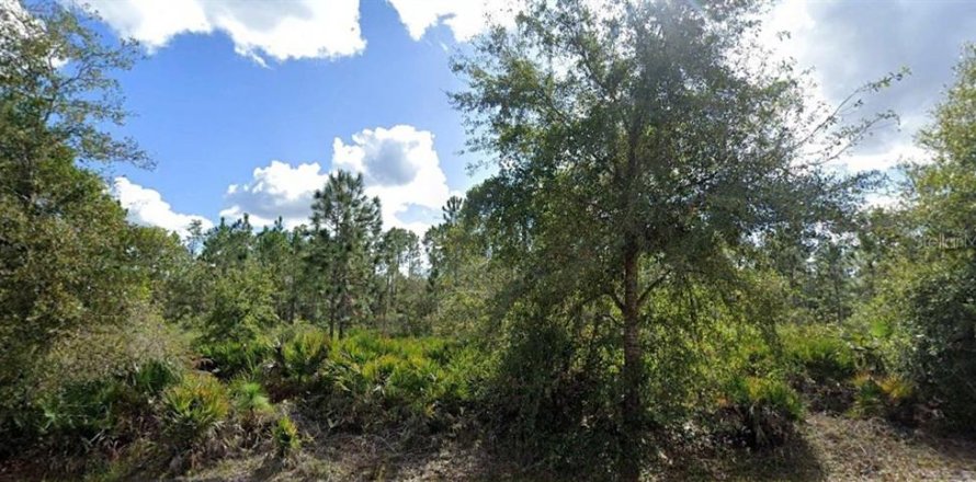 Terrain à Indian lake estates, Floride № 2205743