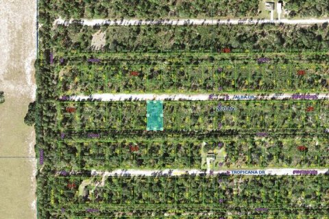 Terrain à vendre à Indian lake estates, Floride № 2205743 - photo 4