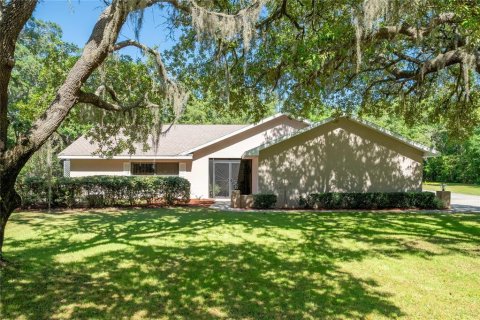 House in Hernando, Florida 3 bedrooms, 166.67 sq.m. № 1740841 - photo 1