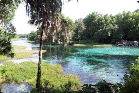 House in Dunnellon, Florida 3 bedrooms, 199.37 sq.m. № 2197989 - photo 3