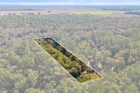 House in Dunnellon, Florida 3 bedrooms, 199.37 sq.m. № 2197989 - photo 5
