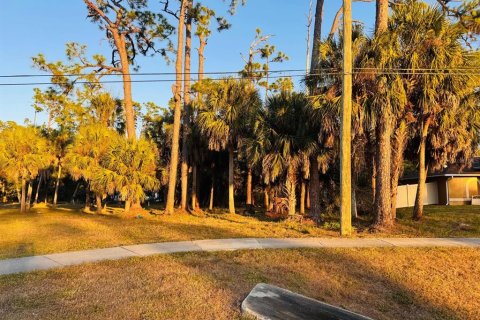 Land in Port Charlotte, Florida № 2159909 - photo 3