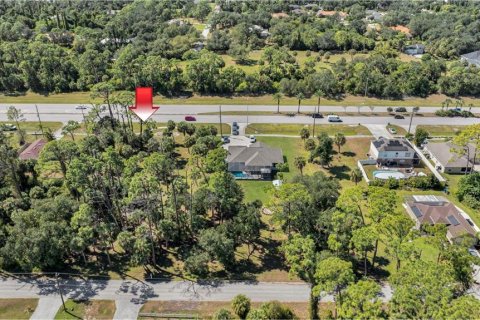 Land in Port Charlotte, Florida № 2159909 - photo 5