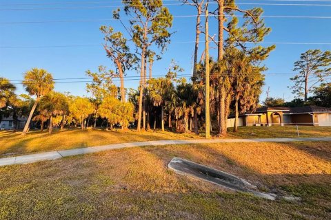 Land in Port Charlotte, Florida № 2159909 - photo 2